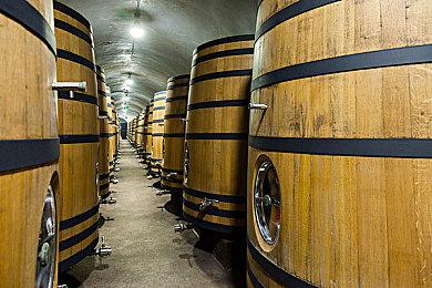 《地平线：西之绝境》完整版已上架Steam和Epic